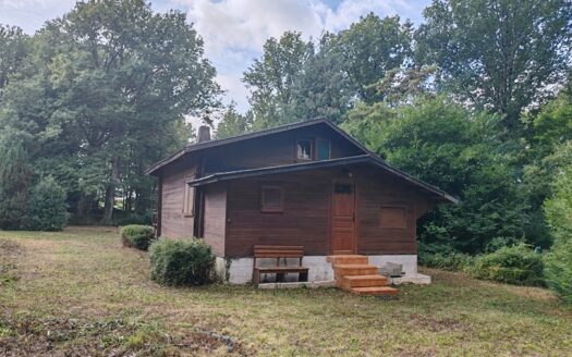 IM8110 CHALET EXCLUSIVITÉ 15 MINS EST MONTARGIS