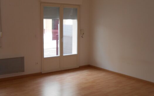 IM190L APPARTEMENT STUDIO MONTARGIS avec terrasse